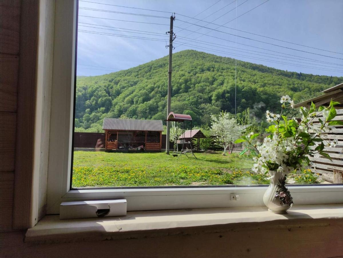 Карпати Котедж Анастасія Skole Zewnętrze zdjęcie